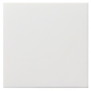 Заглушка с опорной пластиной Gira F100 белый глянцевый