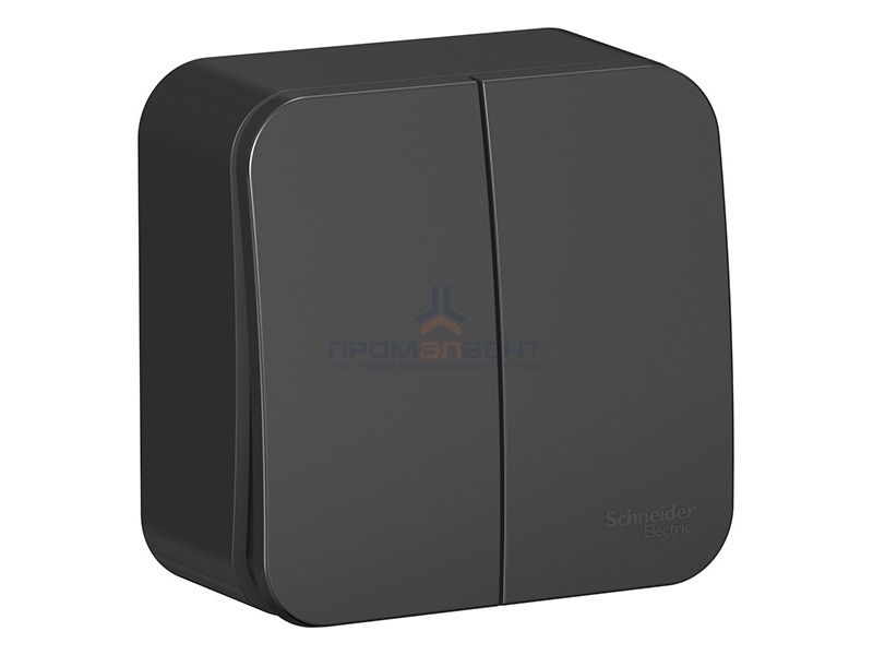 Выключатель 2-клавишный (cх.5) Blanca Schneider Electric 10А 250В антрацит изол.пластина